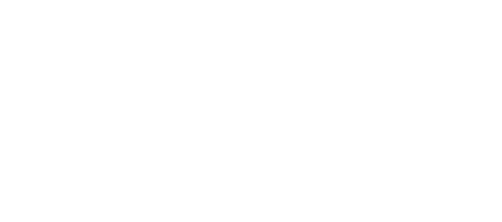Alan Logo